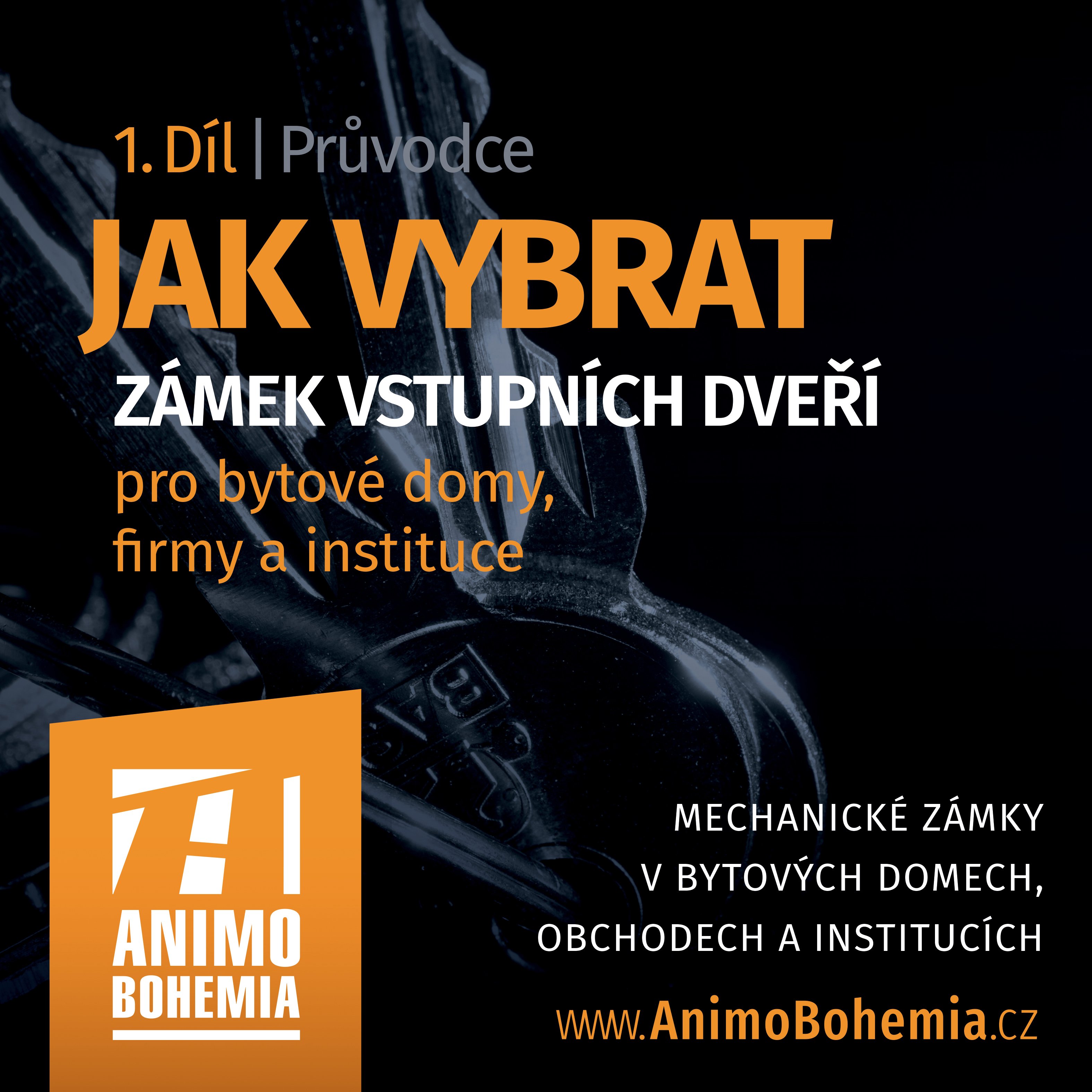 Jak vybrat zámek pro vstupní dveře